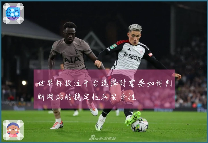 世界杯投注平台选择时需要如何判断网站的稳定性和安全性