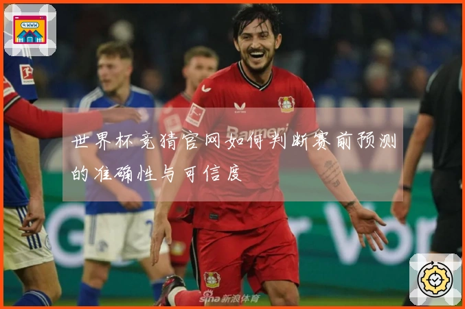 世界杯竞猜官网如何判断赛前预测的准确性与可信度