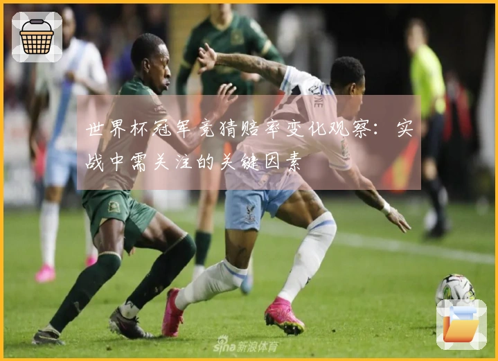 世界杯冠军竞猜赔率变化观察：实战中需关注的关键因素
