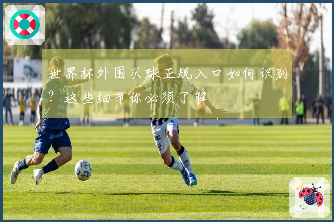 世界杯外围买球正规入口如何识别？这些细节你必须了解